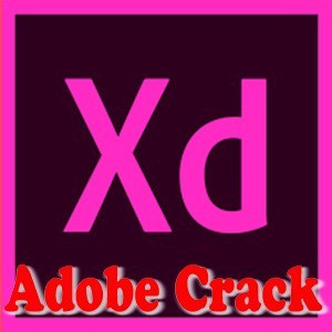 Adobe xd version
